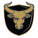 Bulls - BIIH