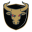 Bulls - BIIH