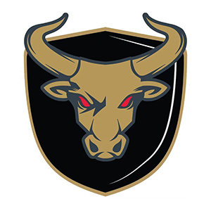 Bulls - BIIH